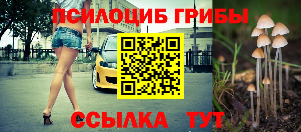 Галлюциногенные грибы Cubensis Санкт-Петербург